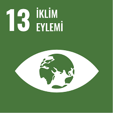13 İKLİM EYLEMİ