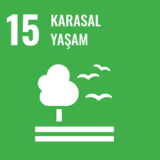 15 KARASAL YAŞAM 