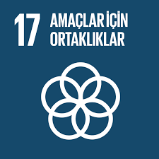 17 AMAÇLAR İÇİN ORTAKLIKLAR 