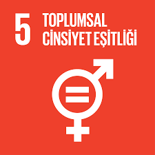 5 TOPLUMSAL CİNSİYET EŞİTLİĞİ